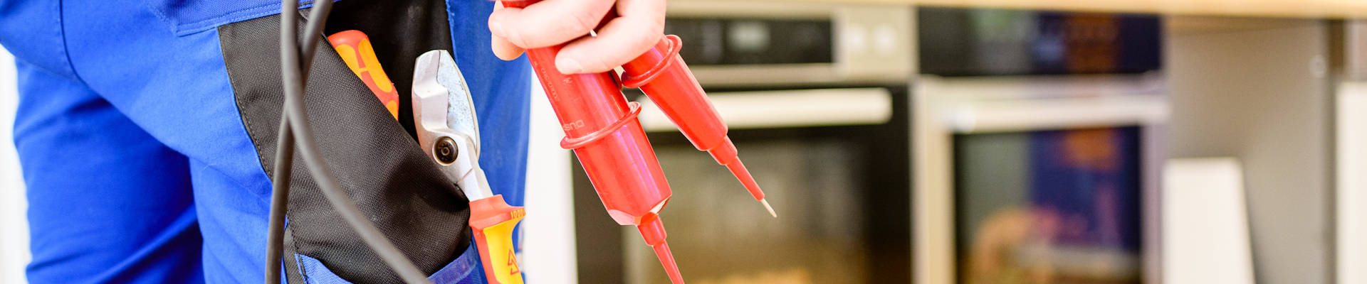 <span class=clsTitleLeist>E-CHECK</span>